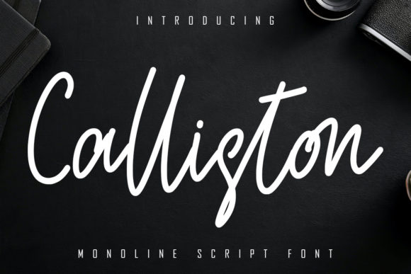 Calliston: A Handwritten Typeface for Modern Web Design