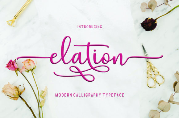 Elation Typeface: Elevating Brand Identity with Versatile Typography
