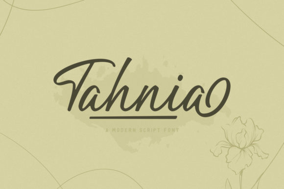 Tahnia Font Review: A Designer’s Take on Script Amp